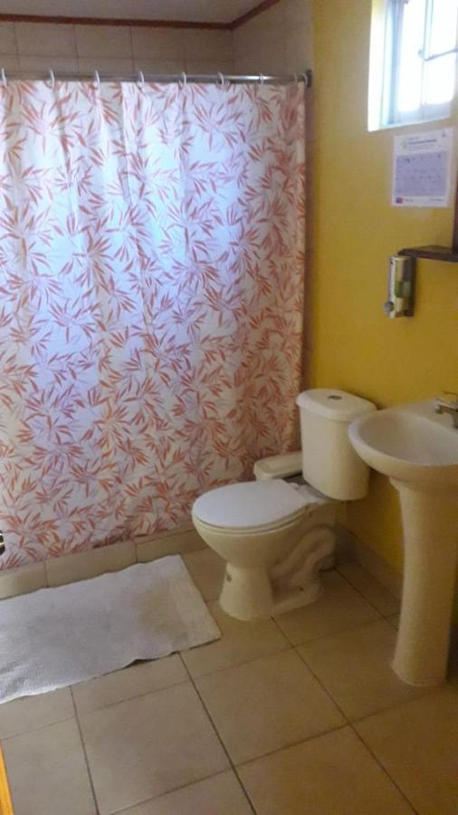 Hostal El Colibri Vicuna Bagian luar foto