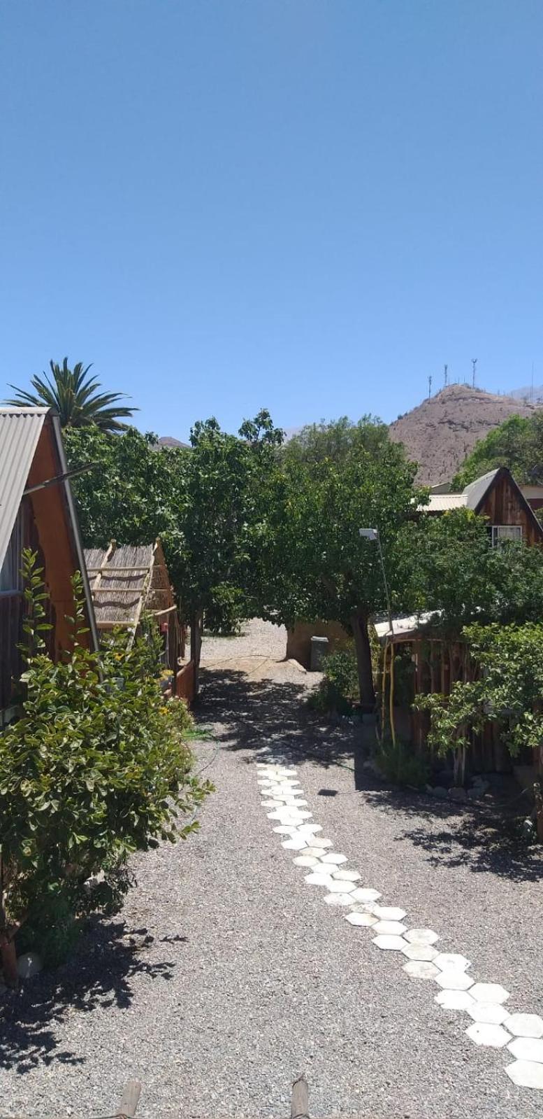 Hostal El Colibri Vicuna Bagian luar foto