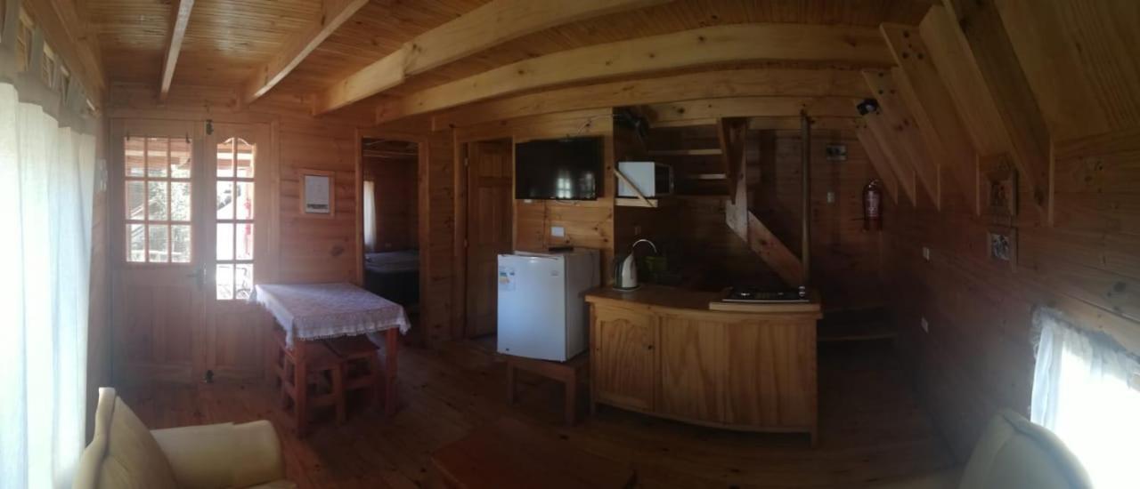Hostal El Colibri Vicuna Bagian luar foto